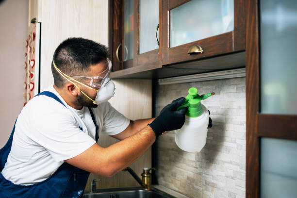 Best Best Pest Control Companies  in Leesburg, GA