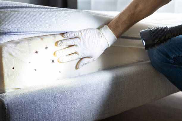Best Wasp Removal Services  in Leesburg, GA
