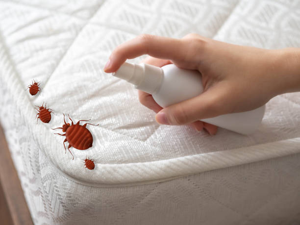 Best Affordable Pest Control Services  in Leesburg, GA