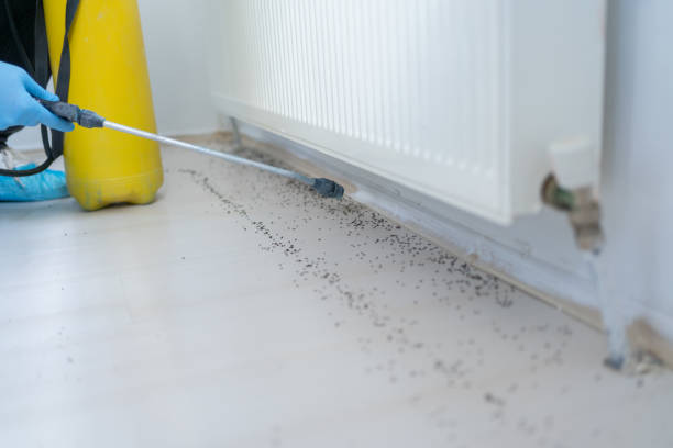 Professional Pest Control in Leesburg, GA