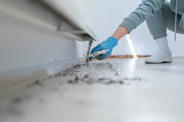 Best Cockroach Control Services  in Leesburg, GA