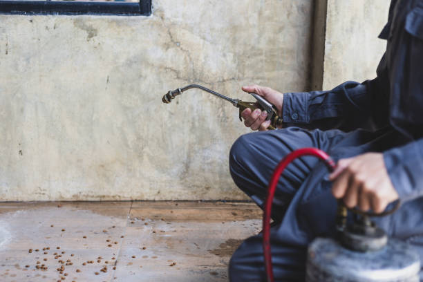 Best Mosquito Control Services  in Leesburg, GA